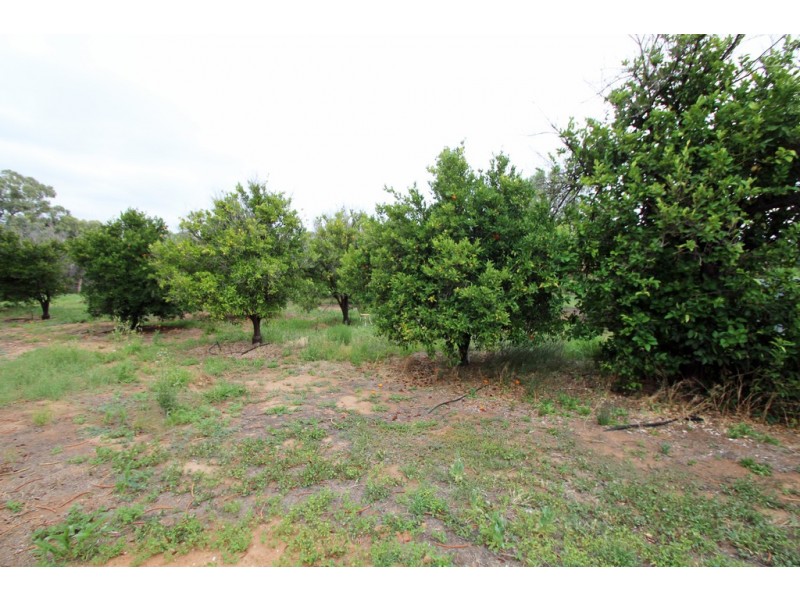 46 Twenty Fourth Street, Renmark SA 5341