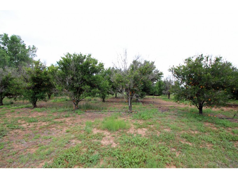 46 Twenty Fourth Street, Renmark SA 5341