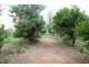 46 Twenty Fourth Street, Renmark SA 5341