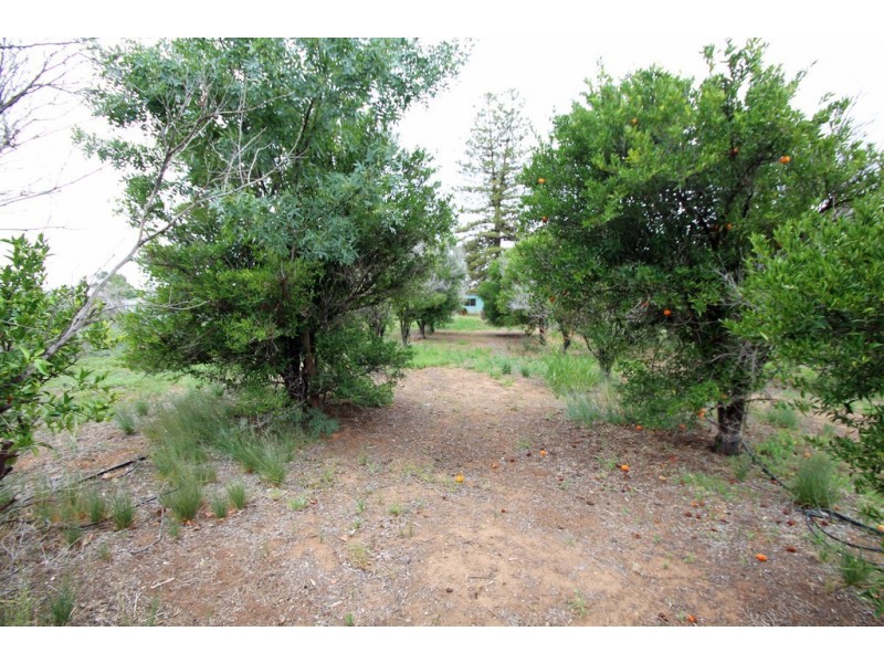 46 Twenty Fourth Street, Renmark SA 5341