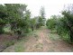 46 Twenty Fourth Street, Renmark SA 5341