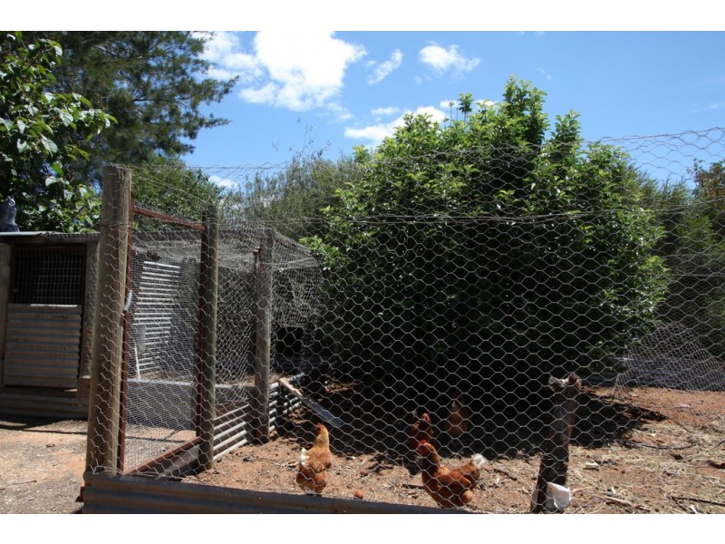 446 Anderson Road, Loxton SA 5333