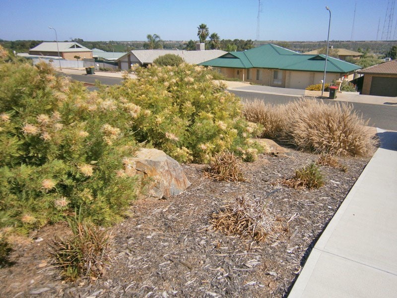 23B Marschall Street, Waikerie SA 5330