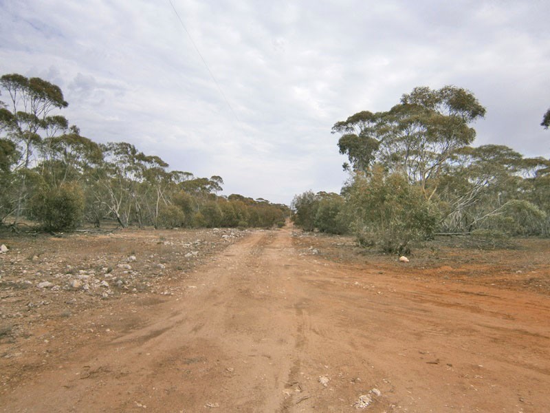 Allotments 2 and 3 Bruns Terrace, Waikerie SA 5330