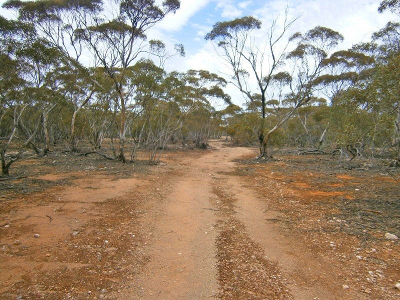 Allotments 2 and 3 Bruns Terrace, Waikerie SA 5330