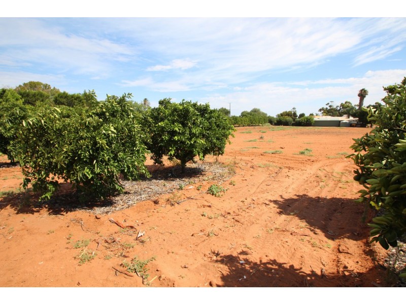 245 Arumpo Street, Renmark SA 5341