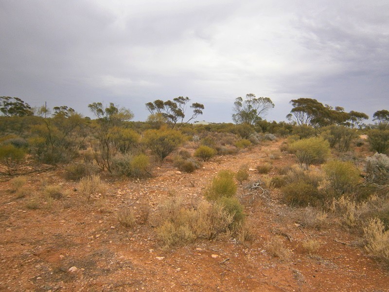 11366 Thiele Highway, Morgan SA 5320