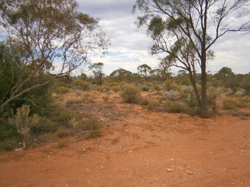 11366 Thiele Highway, Morgan SA 5320