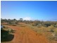 11366 Thiele Highway, Morgan SA 5320
