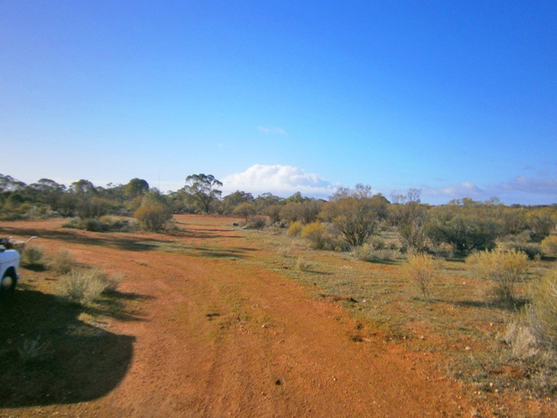 11366 Thiele Highway, Morgan SA 5320