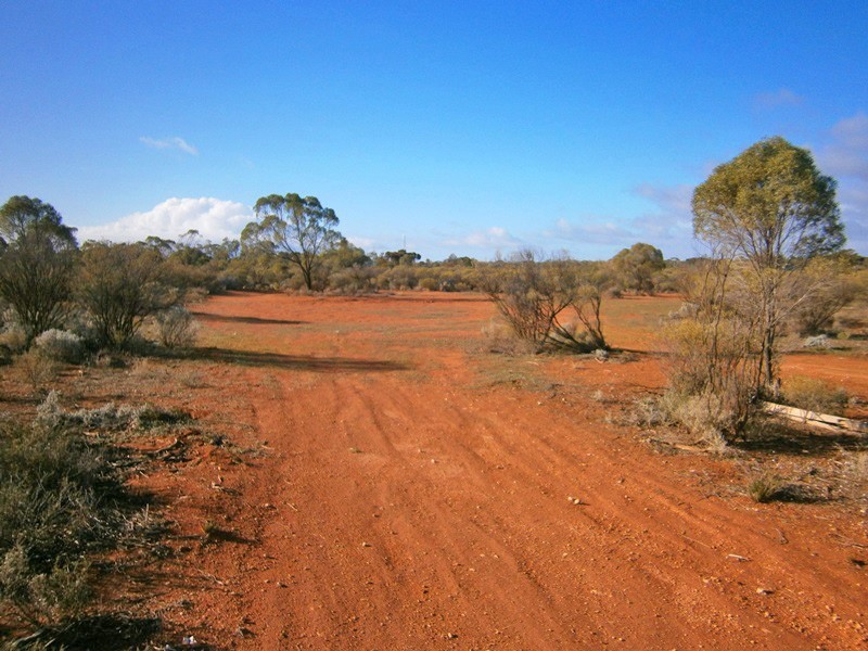 11366 Thiele Highway, Morgan SA 5320