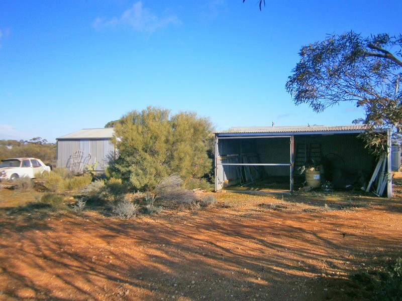 11366 Thiele Highway, Morgan SA 5320