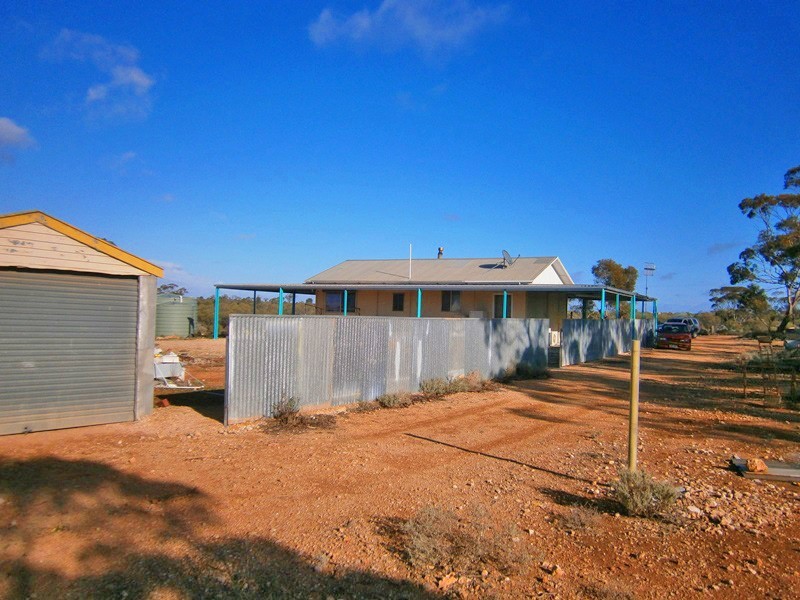 11366 Thiele Highway, Morgan SA 5320