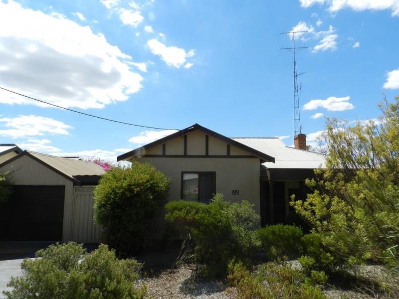 12 Bice Street, Barmera SA 5345