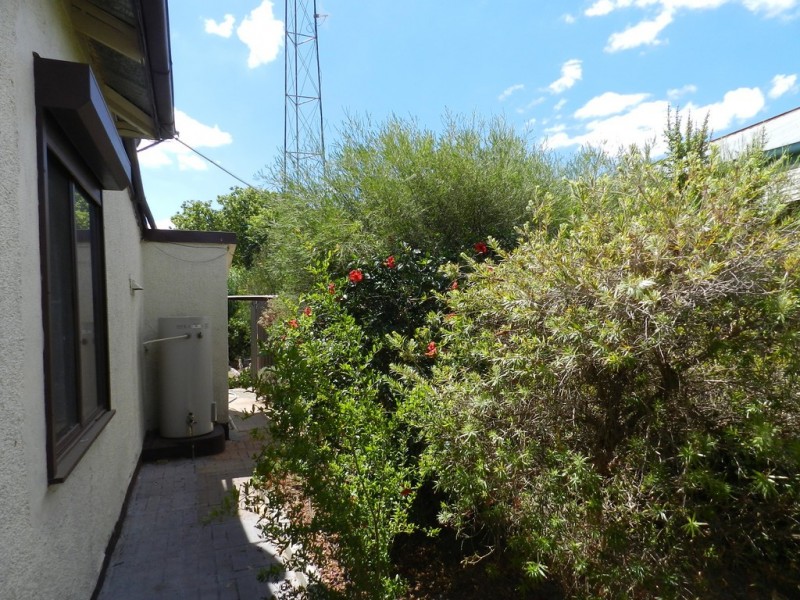 12 Bice Street, Barmera SA 5345