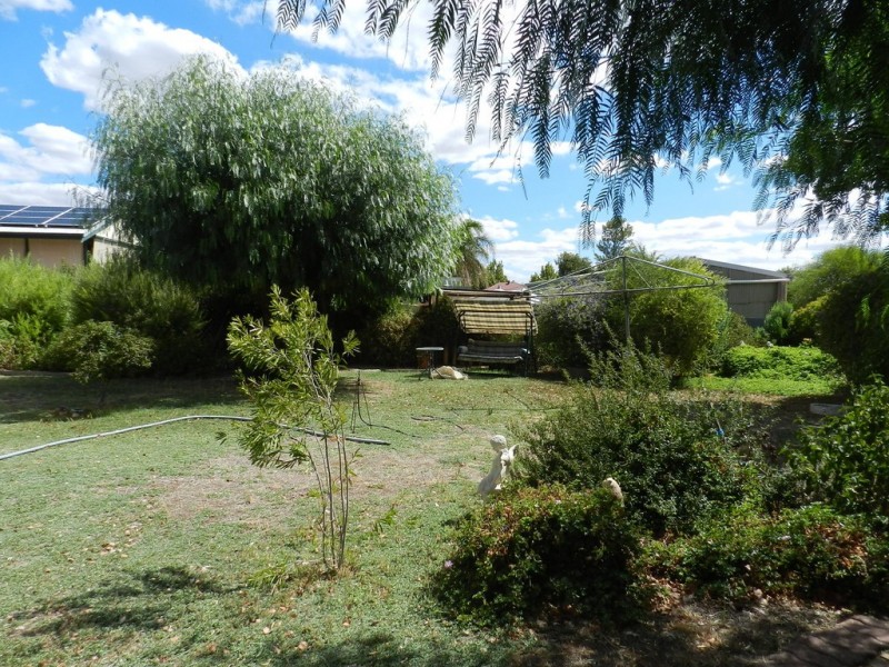 12 Bice Street, Barmera SA 5345