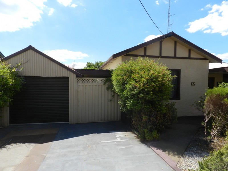 12 Bice Street, Barmera SA 5345