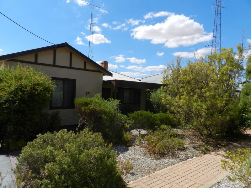 12 Bice Street, Barmera SA 5345