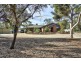 1794 Bookpurnong Road, Loxton SA 5333