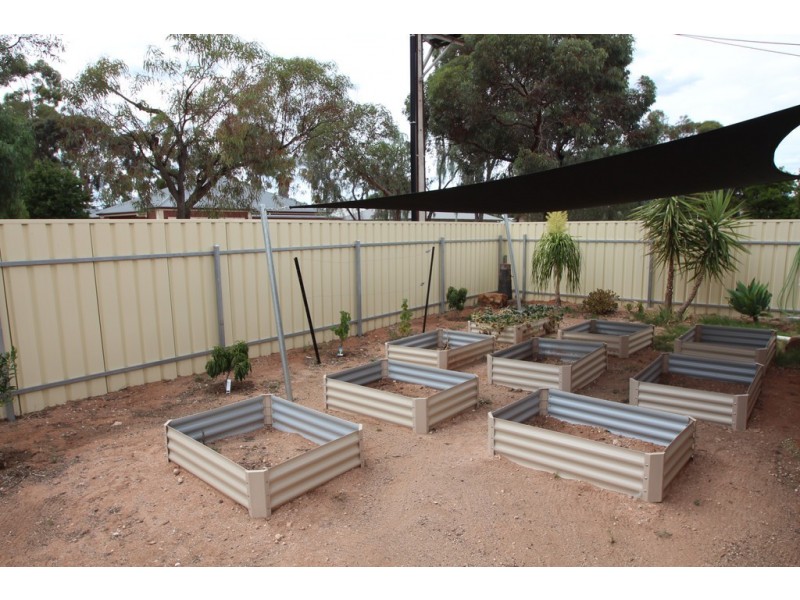 47 Tapio Street, Renmark SA 5341
