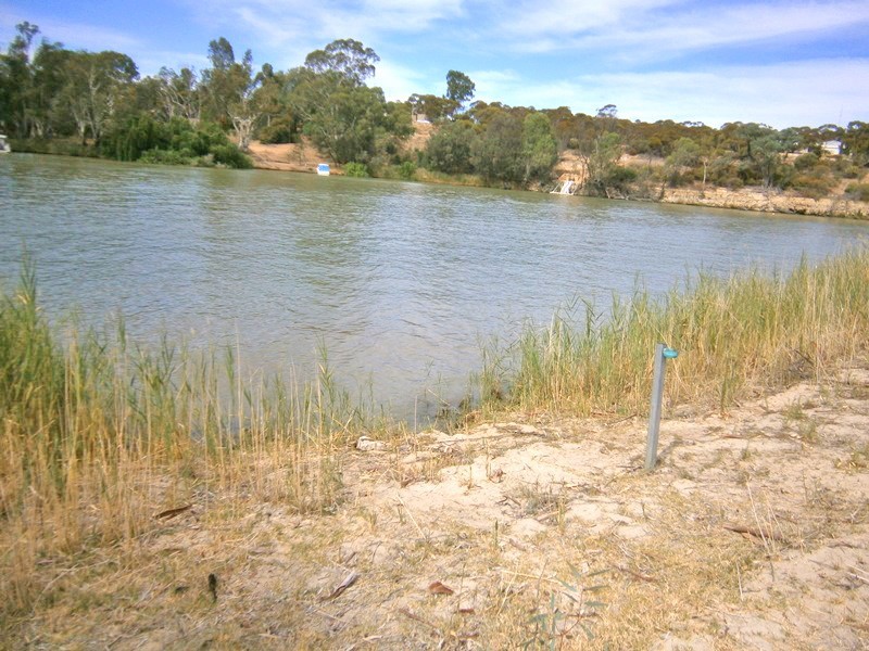 196 Morphett Flat Road, Morgan SA 5320