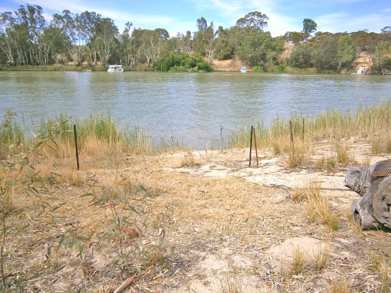 196 Morphett Flat Road, Morgan SA 5320