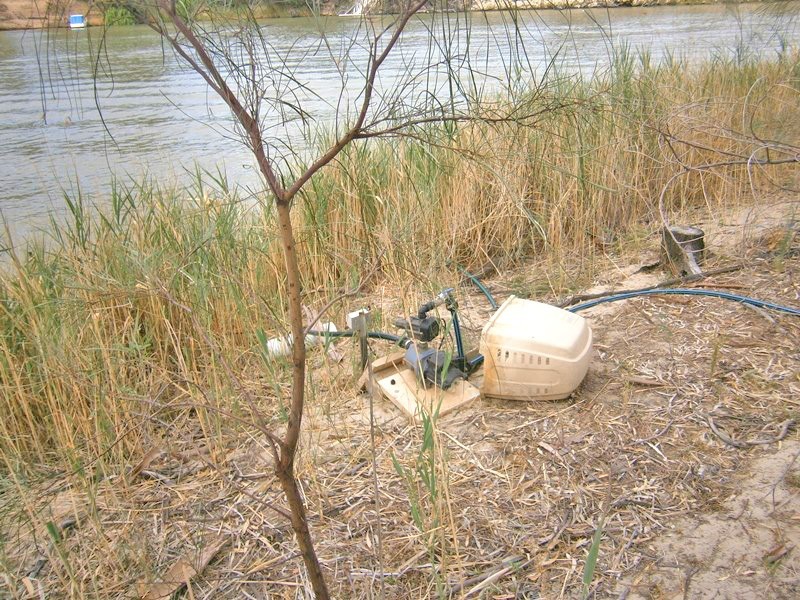 196 Morphett Flat Road, Morgan SA 5320