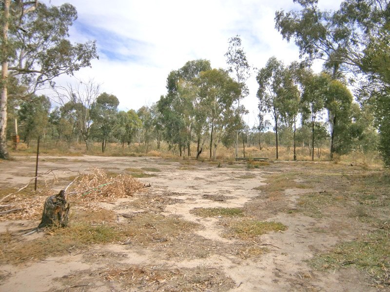 196 Morphett Flat Road, Morgan SA 5320