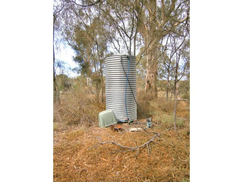 196 Morphett Flat Road, Morgan SA 5320