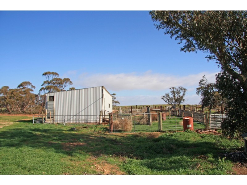 743 Charleson Road, Wanbi SA 5310