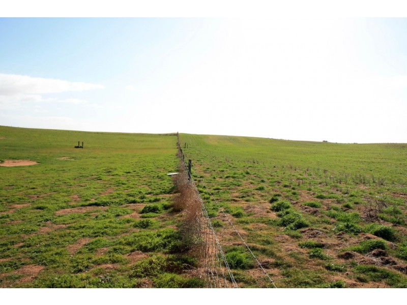 743 Charleson Road, Wanbi SA 5310