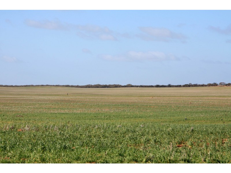 743 Charleson Road, Wanbi SA 5310