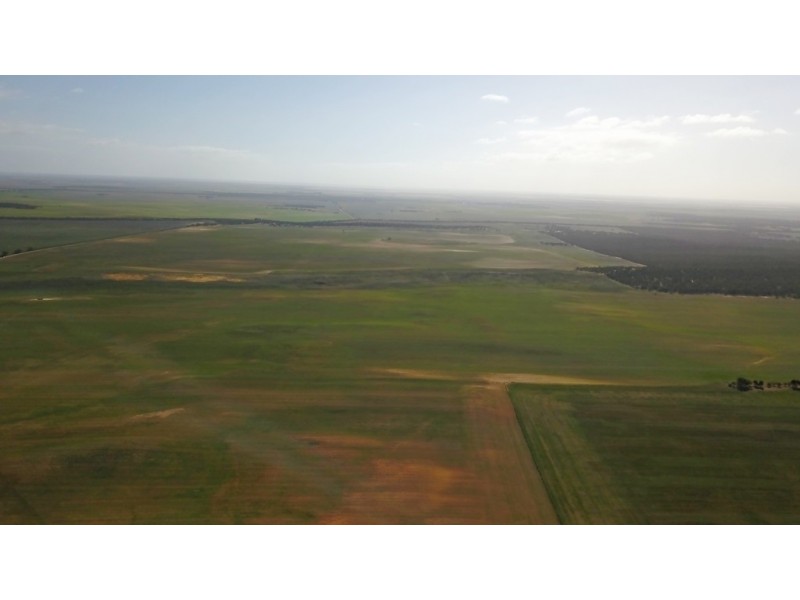 743 Charleson Road, Wanbi SA 5310