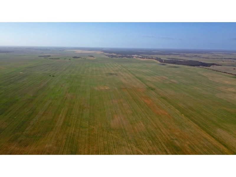 743 Charleson Road, Wanbi SA 5310