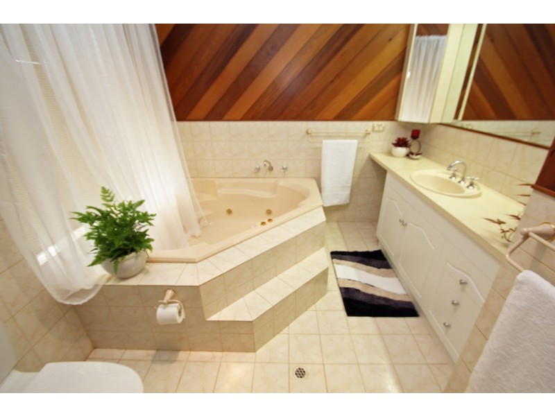 195 Chowilla Street, Renmark SA 5341