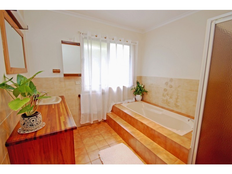 195 Chowilla Street, Renmark SA 5341