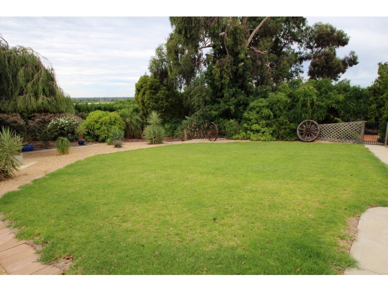 195 Chowilla Street, Renmark SA 5341