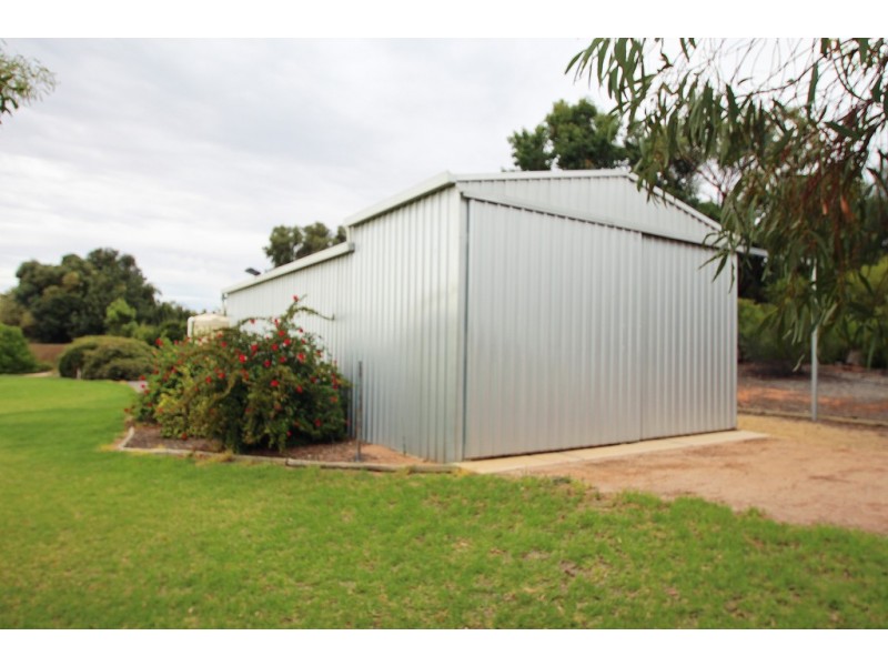 195 Chowilla Street, Renmark SA 5341