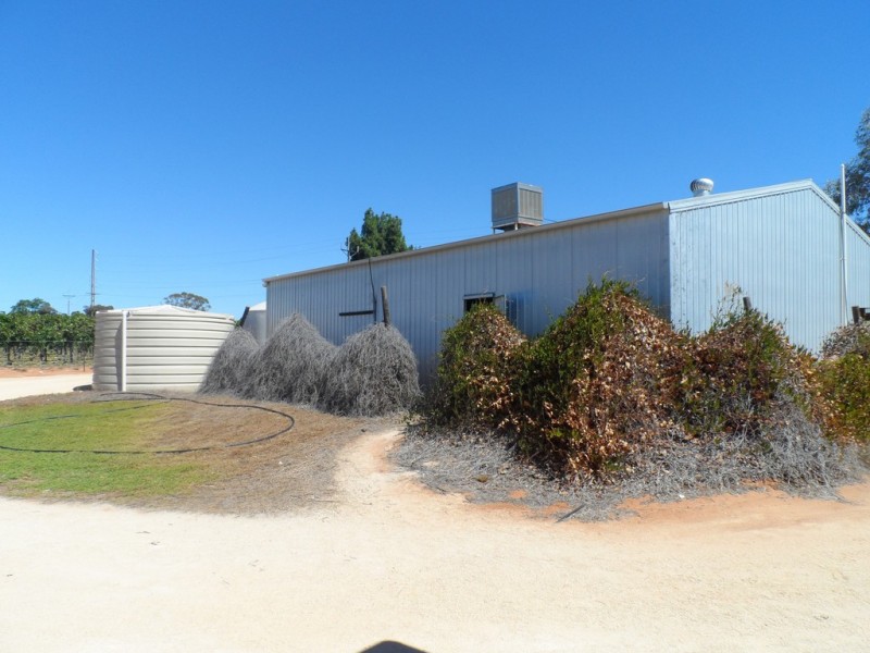 1725 Bookpurnong Road, Loxton SA 5333