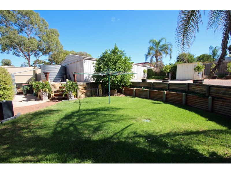 3 Middleton Avenue, Paringa SA 5340