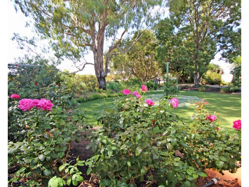 9 Eighth Street, Renmark SA 5341