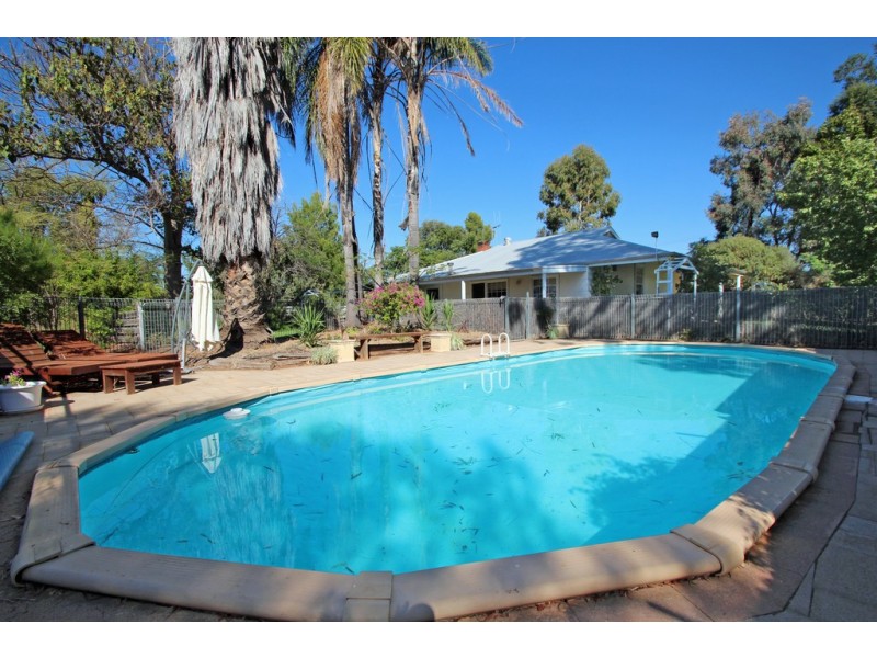 589 Chowilla Street, Renmark SA 5341