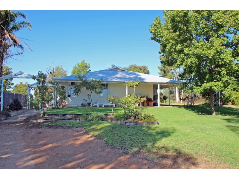 589 Chowilla Street, Renmark SA 5341
