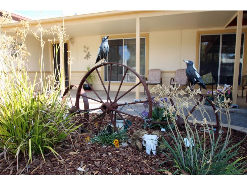 25 Sixteenth Street, Renmark SA 5341