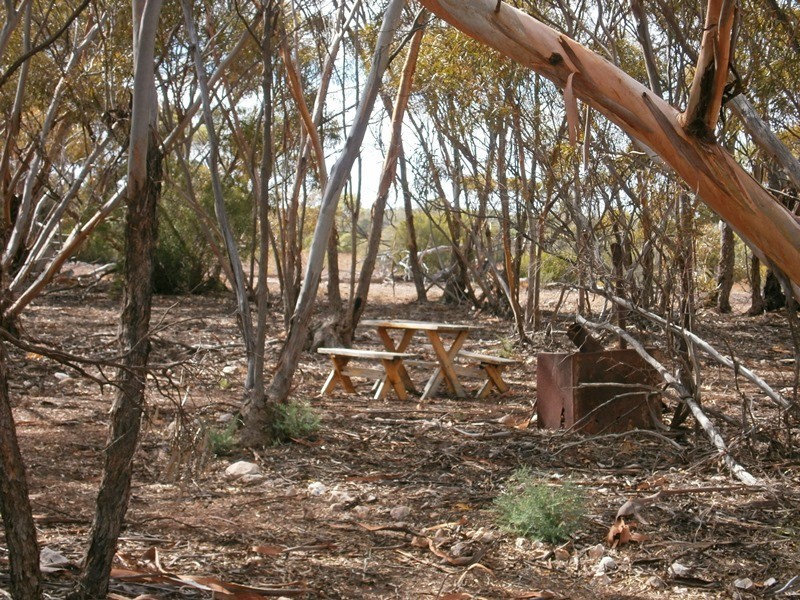 Lot 132 Old Coach Road, Blanchetown SA 5357