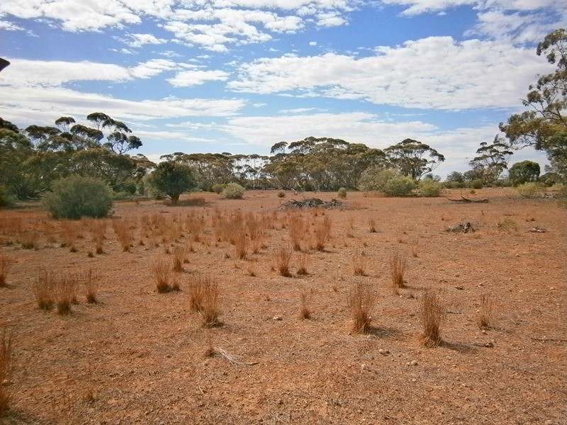 Lot 132 Old Coach Road, Blanchetown SA 5357