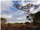 Lot 132 Old Coach Road, Blanchetown SA 5357
