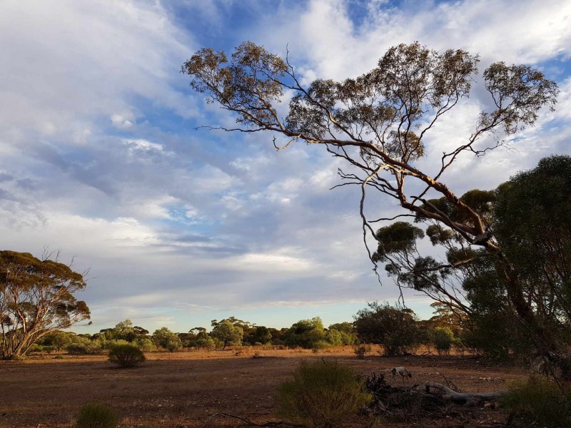 Lot 132 Old Coach Road, Blanchetown SA 5357