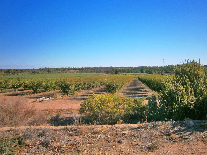 307 Cadell Valley Road, Cadell SA 5321