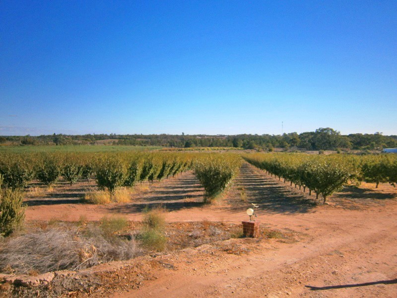 307 Cadell Valley Road, Cadell SA 5321